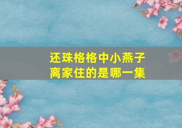 还珠格格中小燕子离家住的是哪一集