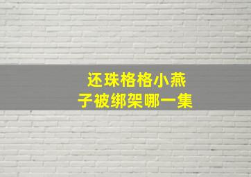 还珠格格小燕子被绑架哪一集