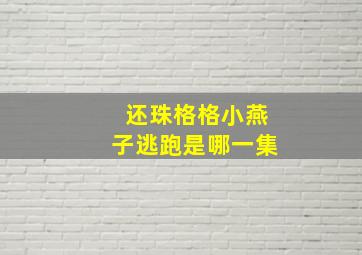 还珠格格小燕子逃跑是哪一集