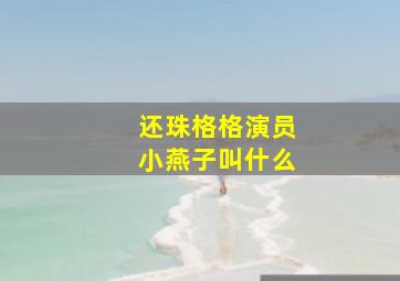 还珠格格演员小燕子叫什么