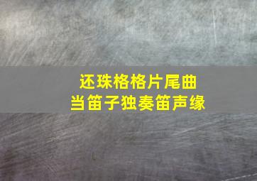 还珠格格片尾曲当笛子独奏笛声缘