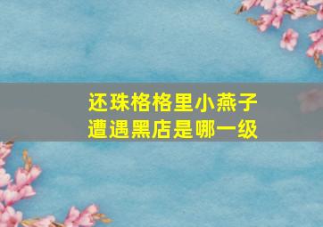 还珠格格里小燕子遭遇黑店是哪一级