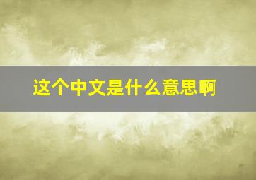 这个中文是什么意思啊