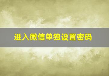 进入微信单独设置密码