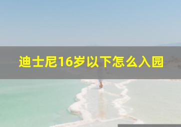 迪士尼16岁以下怎么入园