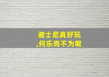 迪士尼真好玩,何乐而不为呢