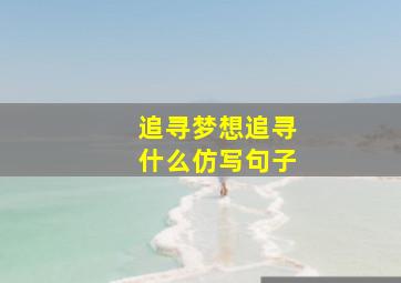 追寻梦想追寻什么仿写句子