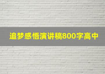 追梦感悟演讲稿800字高中