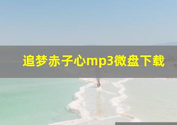 追梦赤子心mp3微盘下载