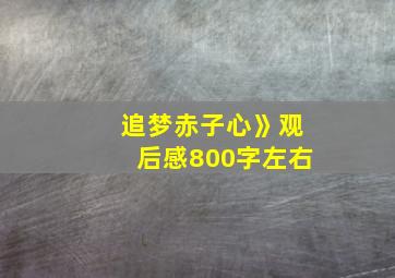 追梦赤子心》观后感800字左右