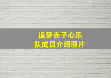 追梦赤子心乐队成员介绍图片