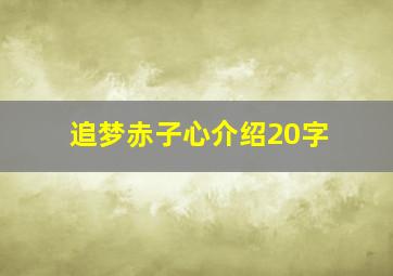 追梦赤子心介绍20字