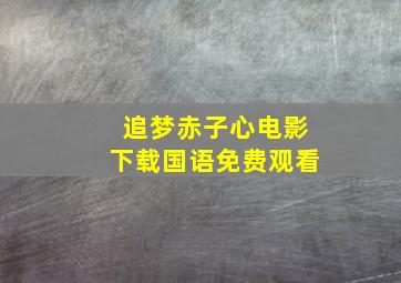 追梦赤子心电影下载国语免费观看