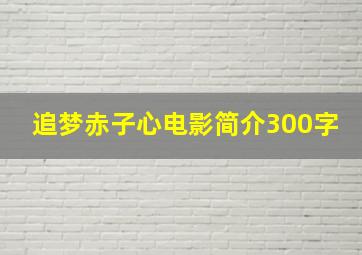 追梦赤子心电影简介300字