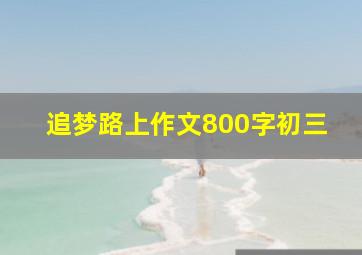 追梦路上作文800字初三