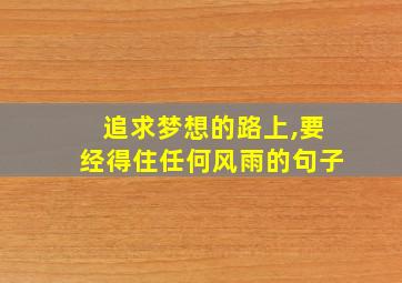 追求梦想的路上,要经得住任何风雨的句子