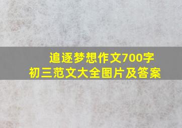 追逐梦想作文700字初三范文大全图片及答案