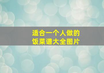 适合一个人做的饭菜谱大全图片