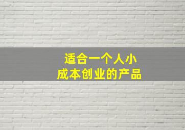 适合一个人小成本创业的产品