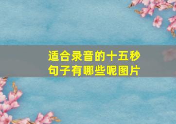 适合录音的十五秒句子有哪些呢图片