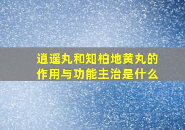 逍遥丸和知柏地黄丸的作用与功能主治是什么