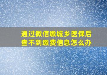 通过微信缴城乡医保后查不到缴费信息怎么办