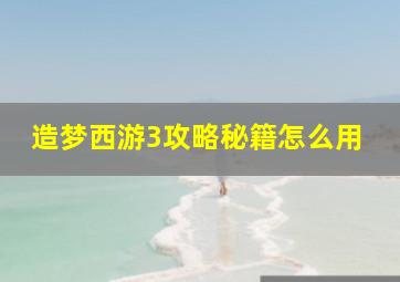 造梦西游3攻略秘籍怎么用