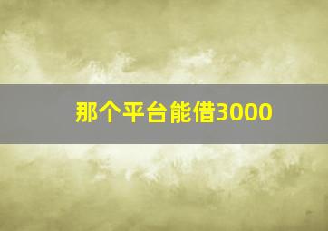 那个平台能借3000