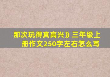 那次玩得真高兴》三年级上册作文250字左右怎么写