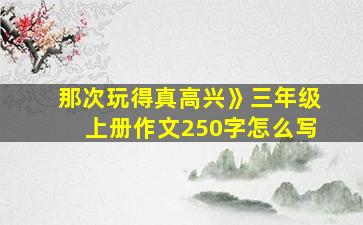 那次玩得真高兴》三年级上册作文250字怎么写