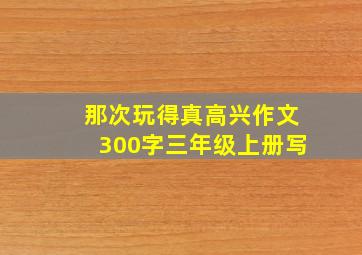 那次玩得真高兴作文300字三年级上册写