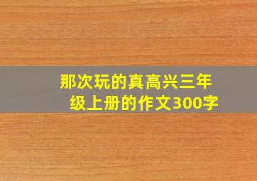 那次玩的真高兴三年级上册的作文300字