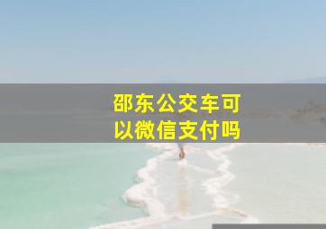 邵东公交车可以微信支付吗