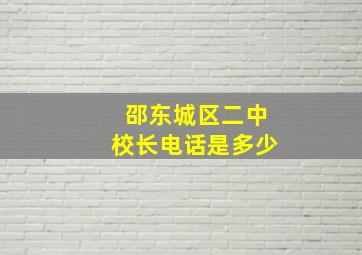 邵东城区二中校长电话是多少