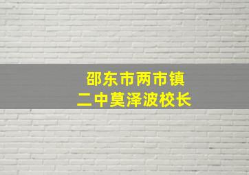 邵东市两市镇二中莫泽波校长