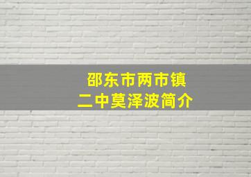 邵东市两市镇二中莫泽波简介