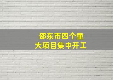 邵东市四个重大项目集中开工