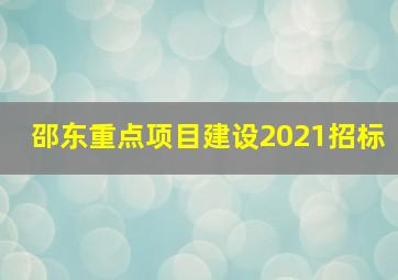 邵东重点项目建设2021招标