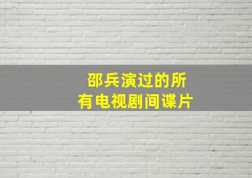 邵兵演过的所有电视剧间谍片