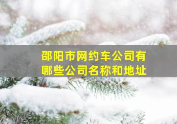 邵阳市网约车公司有哪些公司名称和地址