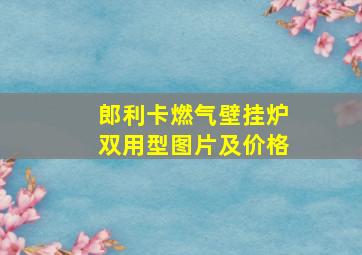 郎利卡燃气壁挂炉双用型图片及价格