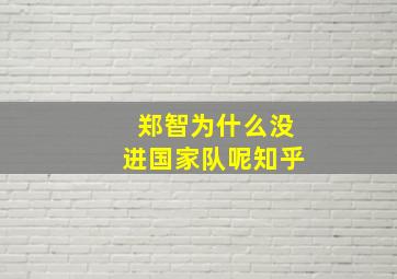 郑智为什么没进国家队呢知乎