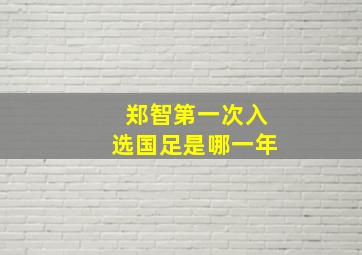 郑智第一次入选国足是哪一年