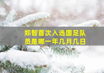 郑智首次入选国足队员是哪一年几月几日