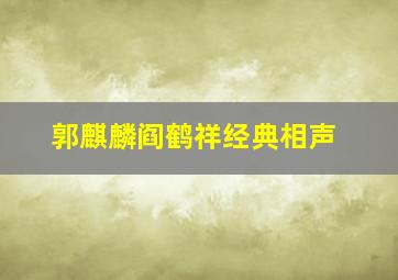 郭麒麟阎鹤祥经典相声