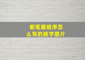 都笔画顺序怎么写的顺字图片