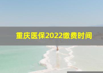 重庆医保2022缴费时间