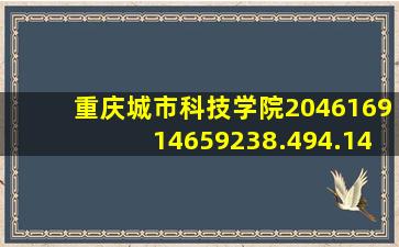 重庆城市科技学院204616914659238.494.149560117