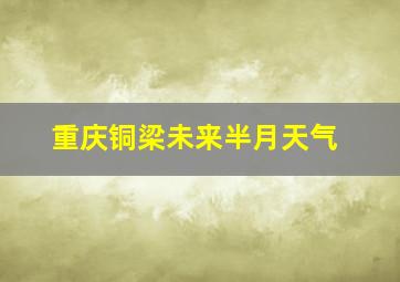 重庆铜梁未来半月天气