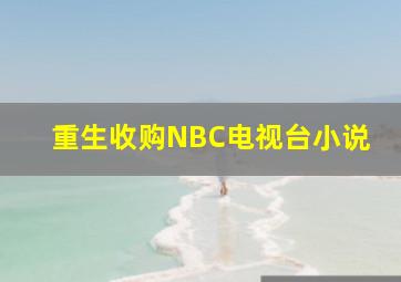 重生收购NBC电视台小说